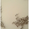 DETAIL – 2013 Metal star charms on stainless steel nails on white lacquered panel 